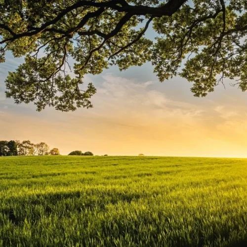 land in a rural area [we buy land cash in NJ]